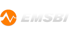 EMSBI - Electromagnetic compatibility and security of information